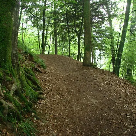 La Maison De L'eveil Πανσιόν *